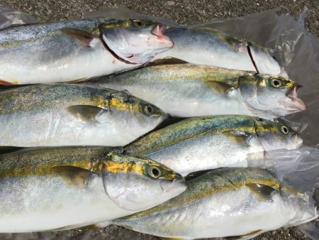 初ポーアイ沖堤‼️