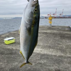 台風接近の中…シイラ?!