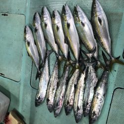 タチウオパターンで爆釣