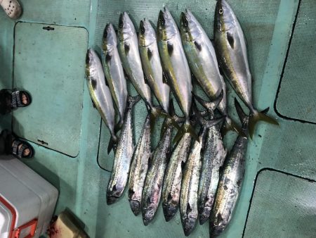 タチウオパターンで爆釣