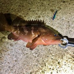 まさかの、、、