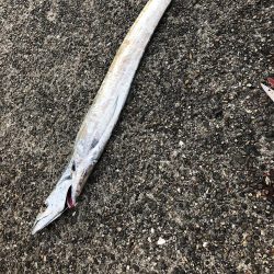 ちょっと待ってよ