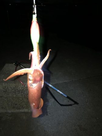 剣先なんとかツ抜け