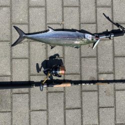 【シーサイドコスモ】好調ライトショアジギング