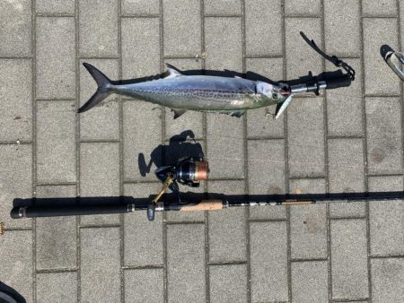 【シーサイドコスモ】好調ライトショアジギング