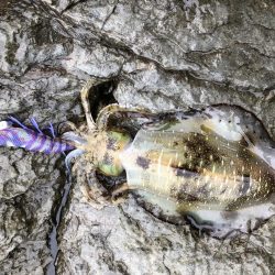 釣果もハリケーン‼︎