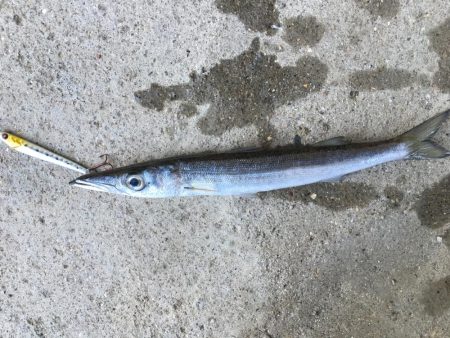 ライトタックル