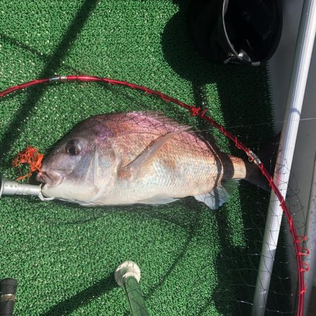 暑いのにタイラバ