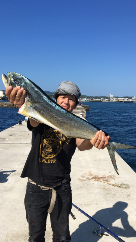 太刀魚 シイラ メッキ ウルトラCでシイラ…