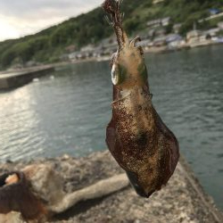 ２時間で１７杯