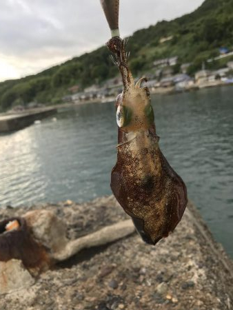 ２時間で１７杯