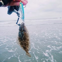 サーフでヒラメリベンジ成功!!