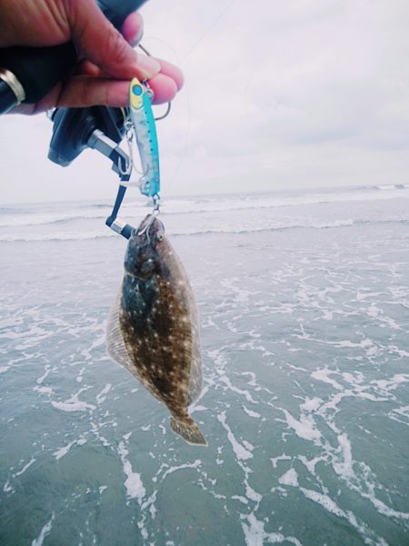 サーフでヒラメリベンジ成功!!