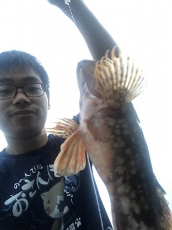 アラカブカワハギアコウアジウマズラ