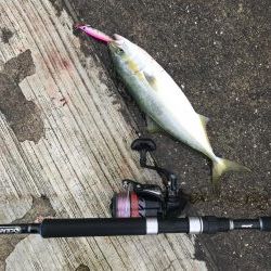 ツバスいい感じ