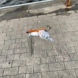 コスモスクエアにて!