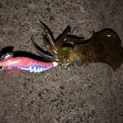 仕事帰りにサクっと