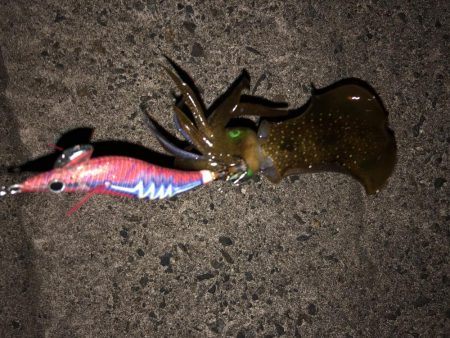 仕事帰りにサクっと