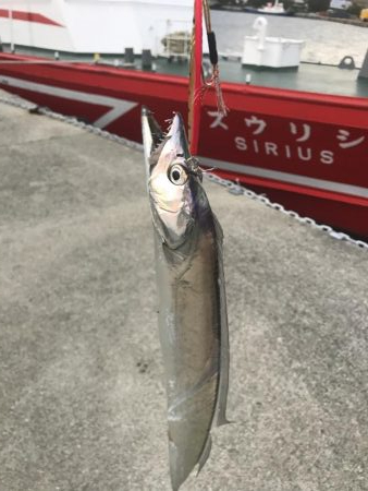 台風後に北公園へ