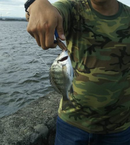 サイズは小さいが