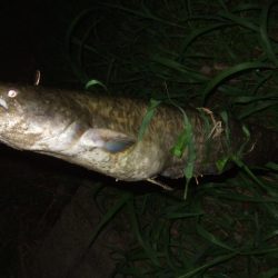 もう暫くは辛抱か