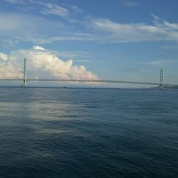 ツバス ○だがケンサキ ×