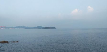 ネリゴとアオリイカ