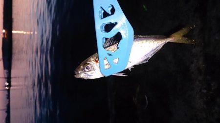 ガシリングと青物釣行