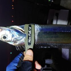 淡路の夜明けにサーべリング〜牙狩り師