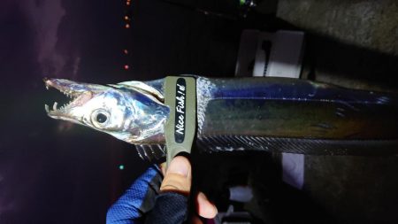 淡路の夜明けにサーべリング〜牙狩り師