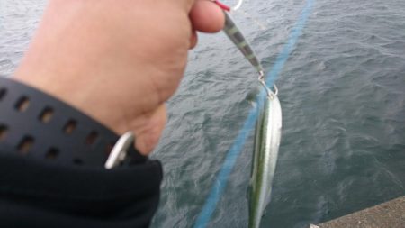 夕マズメ短時間勝負！！