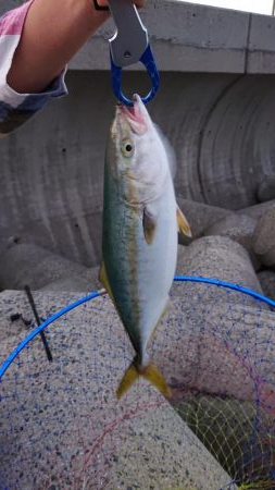 いい潮のわりに…