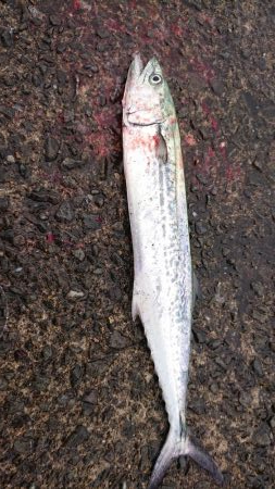 出掛けたついでに