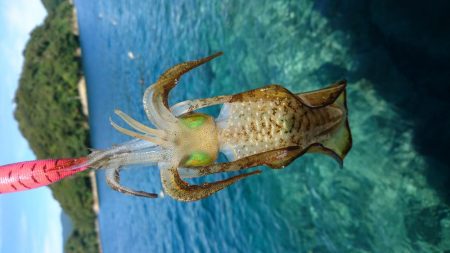 初のメーター！