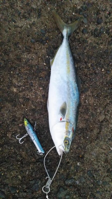 渋いぞ加太！！