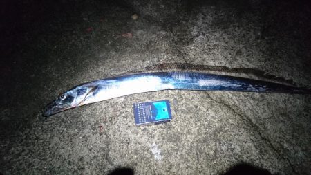 一年ぶりの貝塚