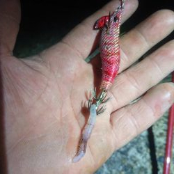 誰もいない場所