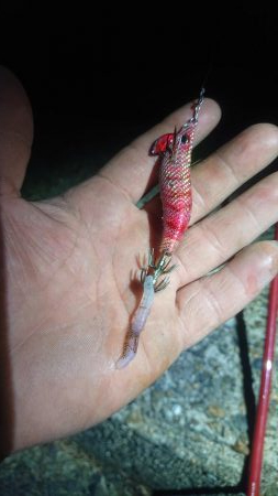 誰もいない場所