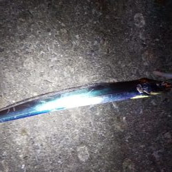 シーズンインと言うにはちょっと早い？