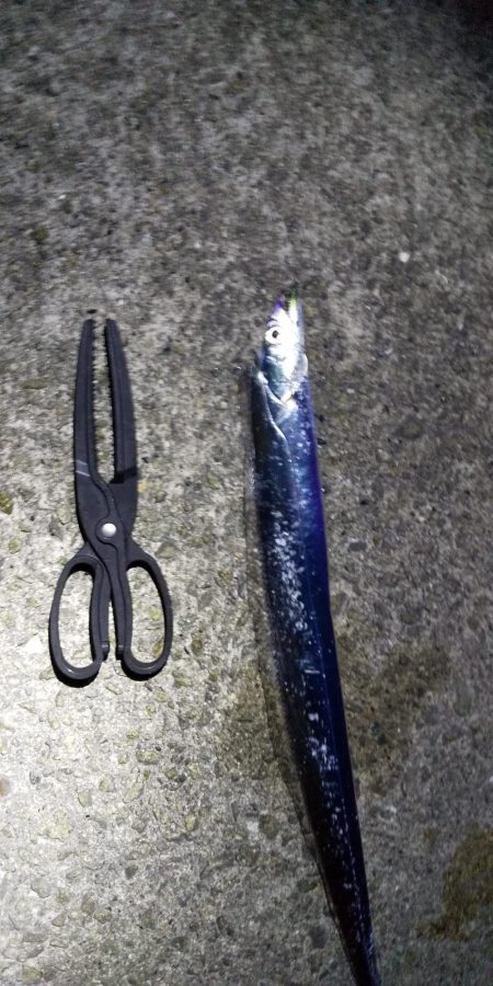 始まりの兆し・・・？