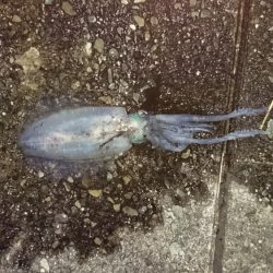 台風が来る前に行って来ました。