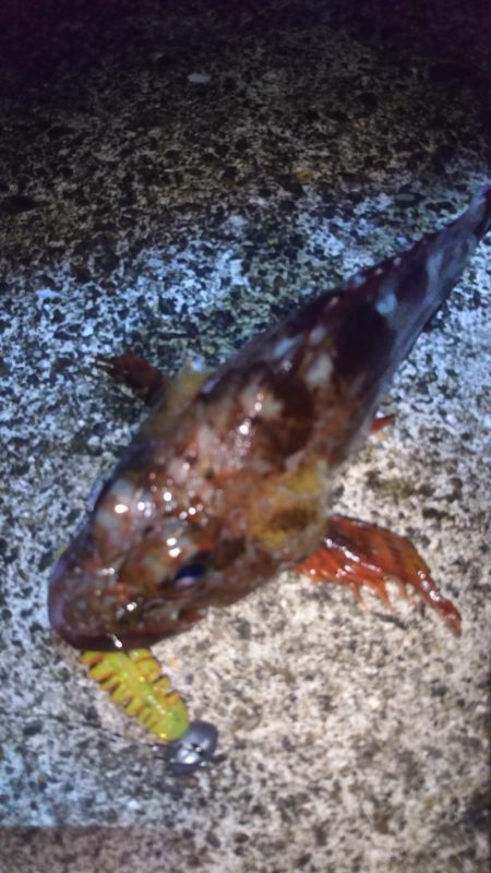 神戸のとある沖堤防