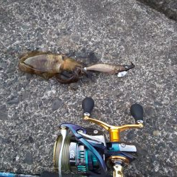 サイト不成立・・・