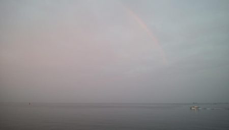 タチウオ調査＆ツバッシング