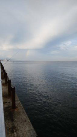 今日もタチウオ調査､結果は・・・