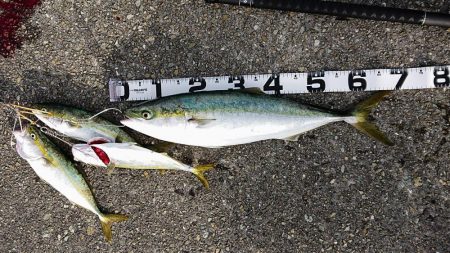 ボイルの正体？