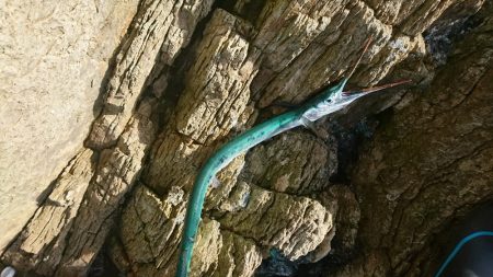 また、お前か！！