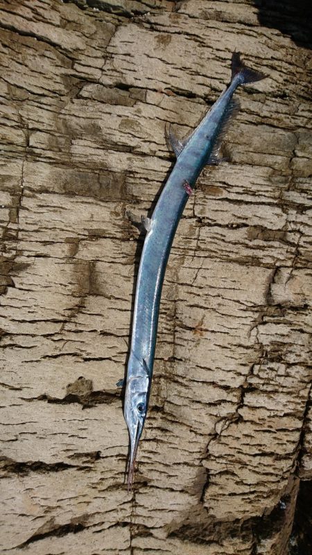 不本意な結果ですが。。