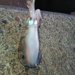 週末は雨模様。