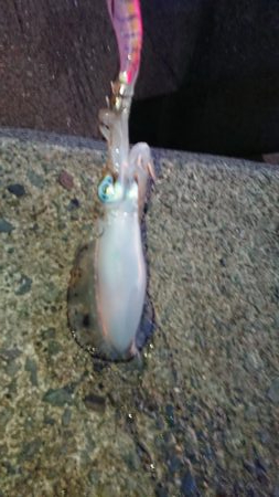 週末は雨模様。